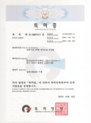 특허증 제 10-089…